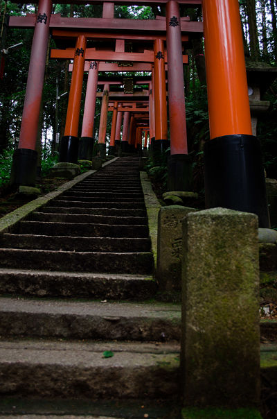Fushimi Inari photo par Miss Benu Flickr opt