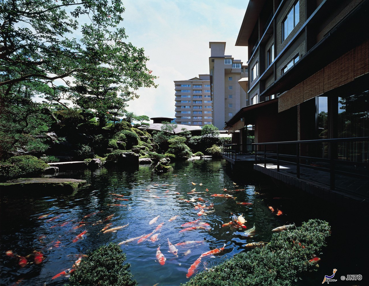 The garden and carps of Suimeikan Ryokan copyright Japan Association JNTO1
